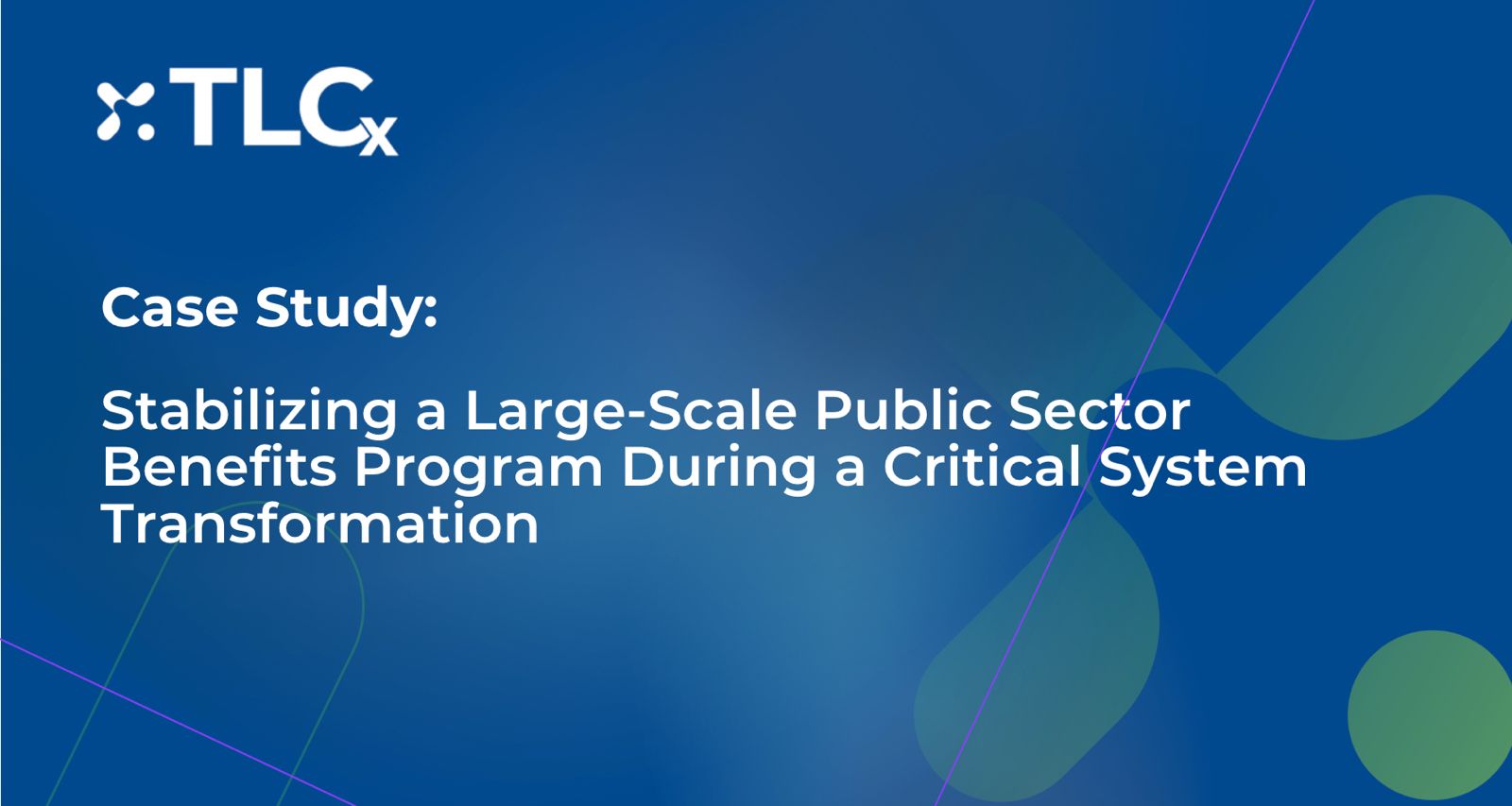 Large Scale Public Sector